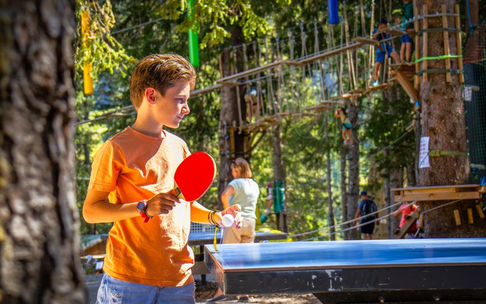 Ping-pong
